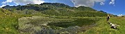 39 Lago piccolo (1986 m) ricoperto da erbe acquatiche 